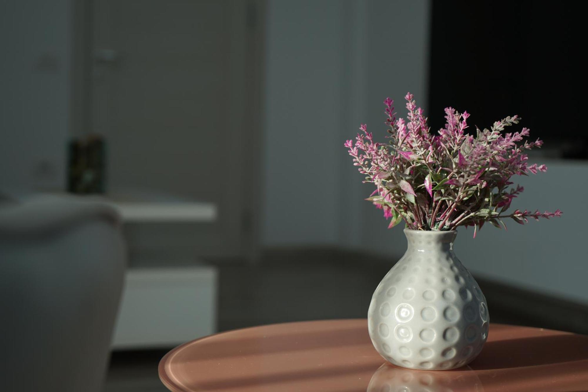 בראשוב Mirandis Apartments - Comfort & Private Parking Near Coresi Mall מראה חיצוני תמונה